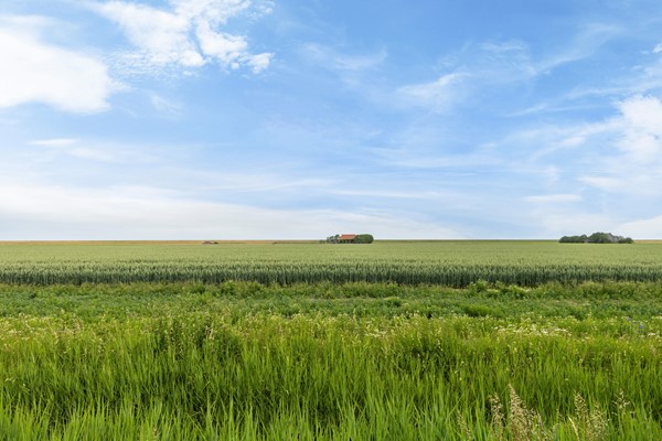 Medium property photo - Nieuwebildtdijk 284, 9076 PP Sint Annaparochie